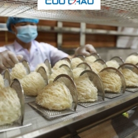 Công Dụng Của Lưới Làm Tổ Yến: Giải Pháp Hiệu Quả Cho Nghề Nuôi Yến