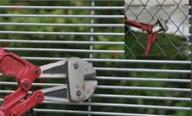 Hướng dẫn ngắn