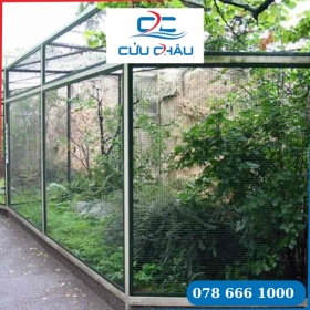 Lưới avi là gì? Công dụng của lưới 