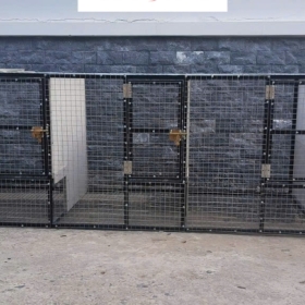 Lưới Inox Dùng Để Nuôi Chồn: Vì Sao Dễ Bị Rỉ Sét và Cách Khắc Phục Lưới Inox Dùng Để Nuôi Chồn: Vì Sao Dễ Bị Rỉ Sét và Cách Khắc Phục